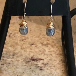 Blue Kyanite Small Drop Wire-Wrapped Earrings